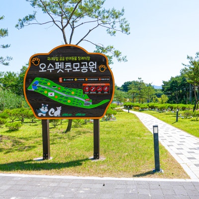 사진 2