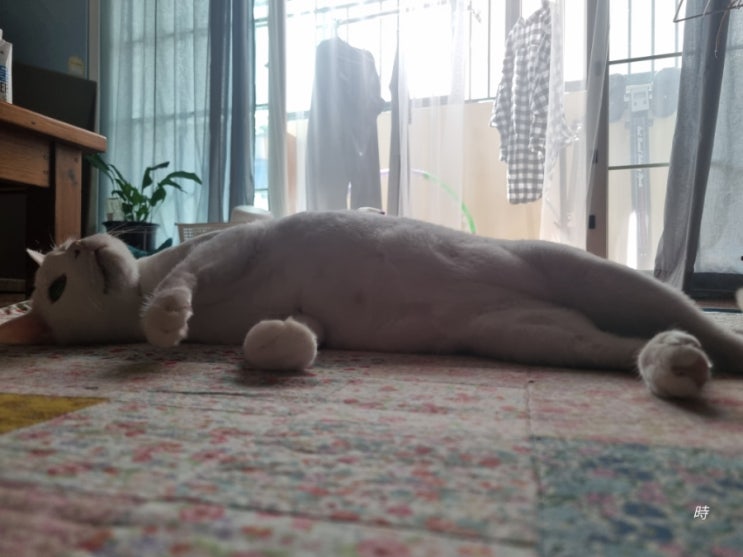  좀 더 이쪽으로 다가와 주겠니?