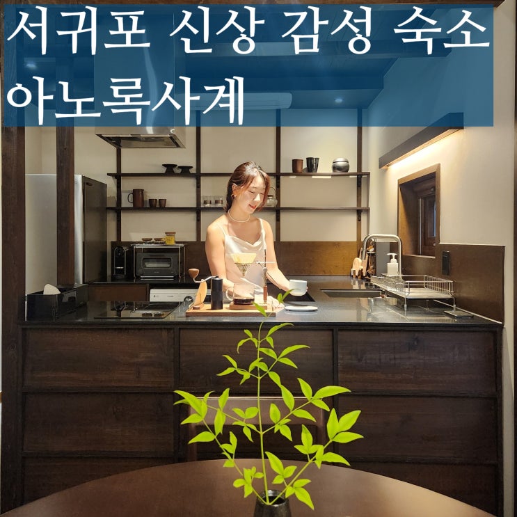  서귀포 신상 감성숙소 아노록사계 독채 자쿠지 멋진곳