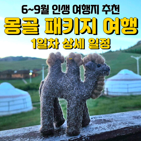  6~9월 가기 좋은 인생 여행지 <몽골> 1일차 상세 일정 - 징기즈칸 마동상, 거북바위, 신식게르, 은하수