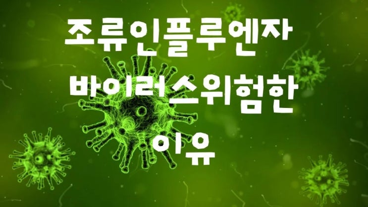  조류인플루엔자 조류독감 바이러스 위험한 이유 증상 예방법