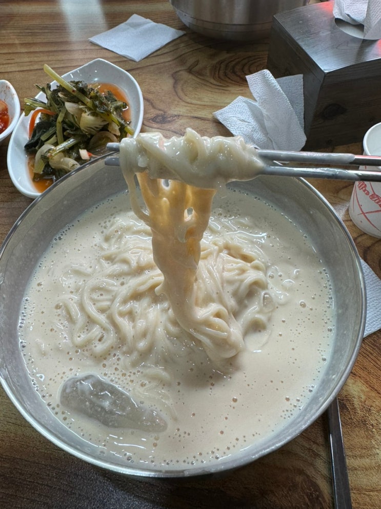  [오늘국수] 수원 콩국수1티어 핵존맛집,,,  솔직리뷰