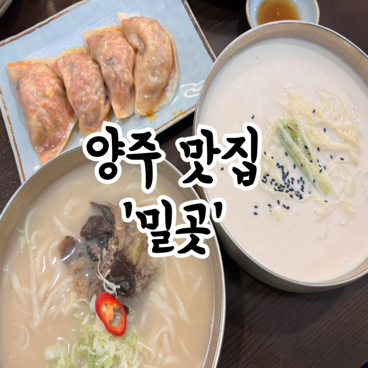  서울 근교 양주 칼국수 콩국수 맛집 밀곳 추천 메뉴 가격 방문 후기
