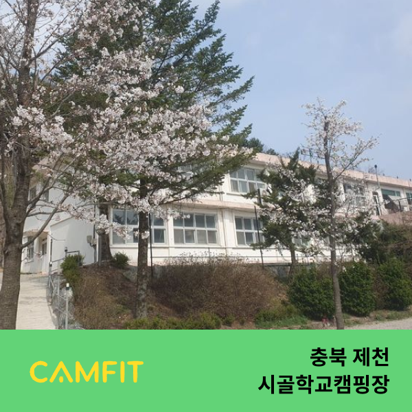 사진 2