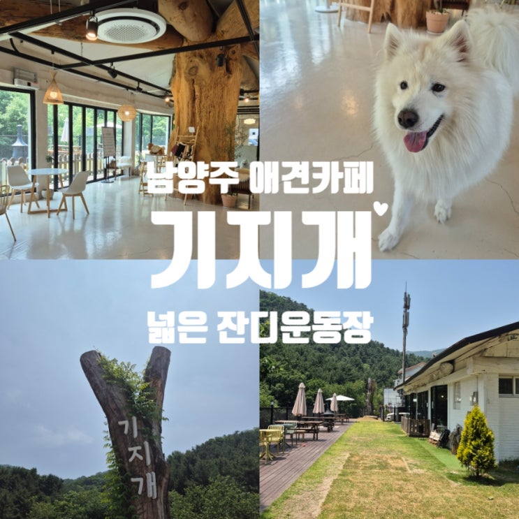  남양주애견카페 기지개 넓은 잔디운동장 펫푸드
