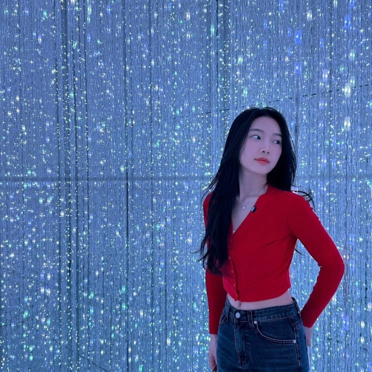  도쿄 팀랩보더리스 예약 도쿄 비올때 실내 갈만한곳 할인팁