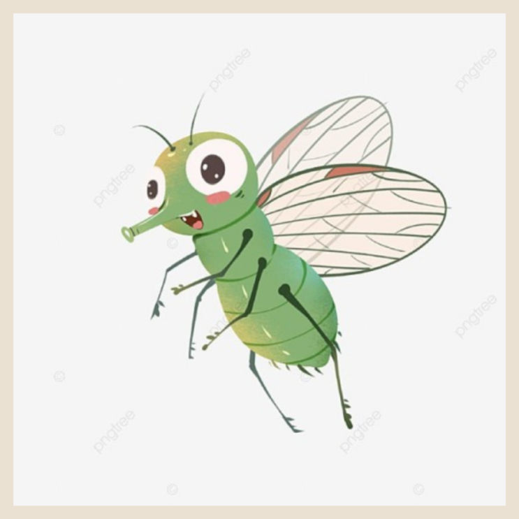  모기란? 잠 못 드는 밤 여름철 모기
