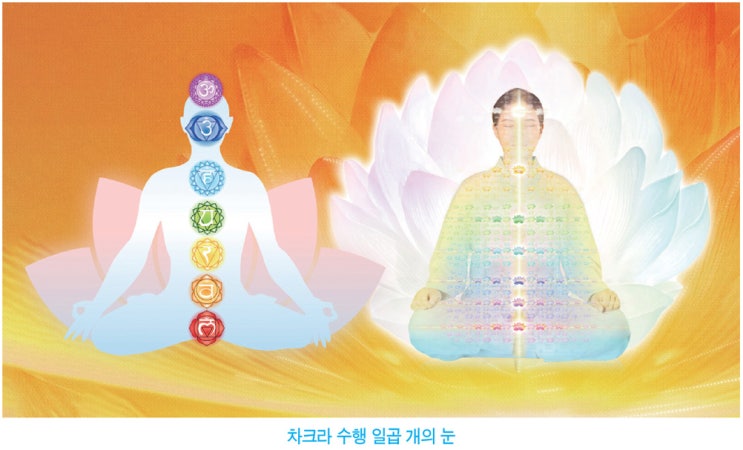  신선 몸으로 만드는 공부_선정화 빛꽃 수행