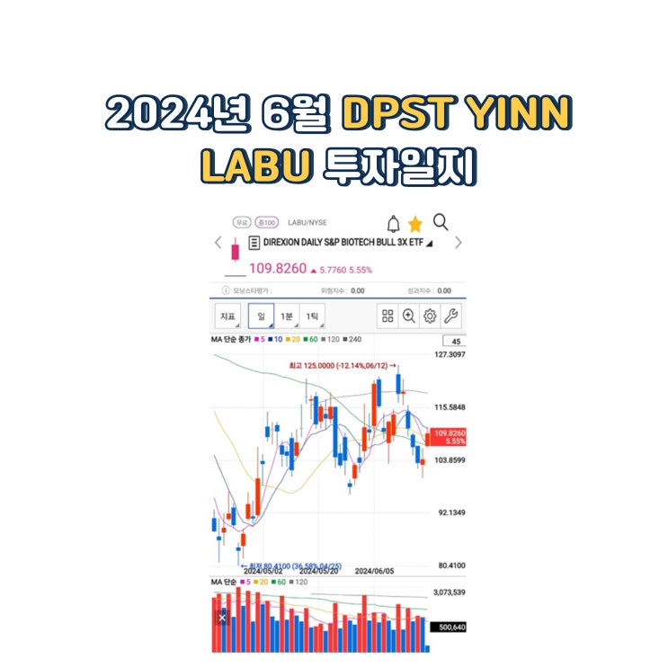  2024년 6월 DPST YINN LABU 투자일지