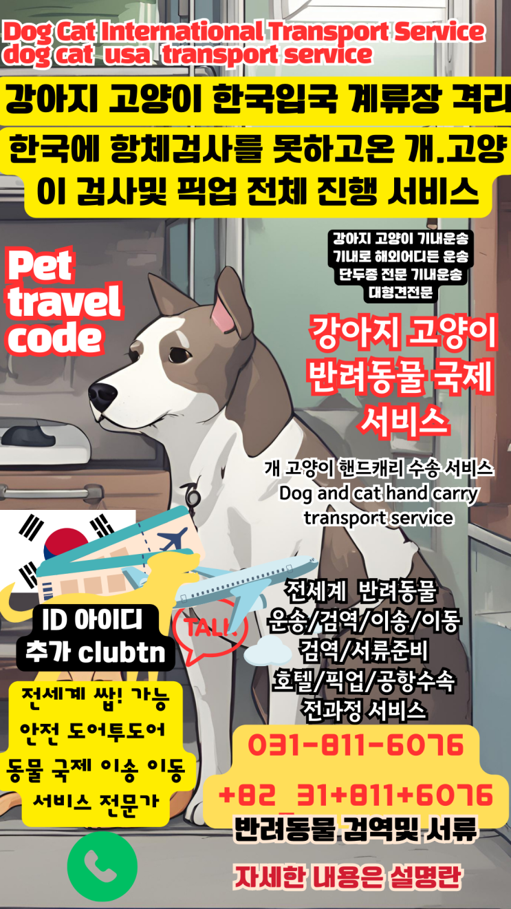  강아지한국입국검사 고양이한국입국검사 강아지계류장 고양이계류장 강아지격리 고양이격리 강아지항체검사 고양이항체검사 서비스