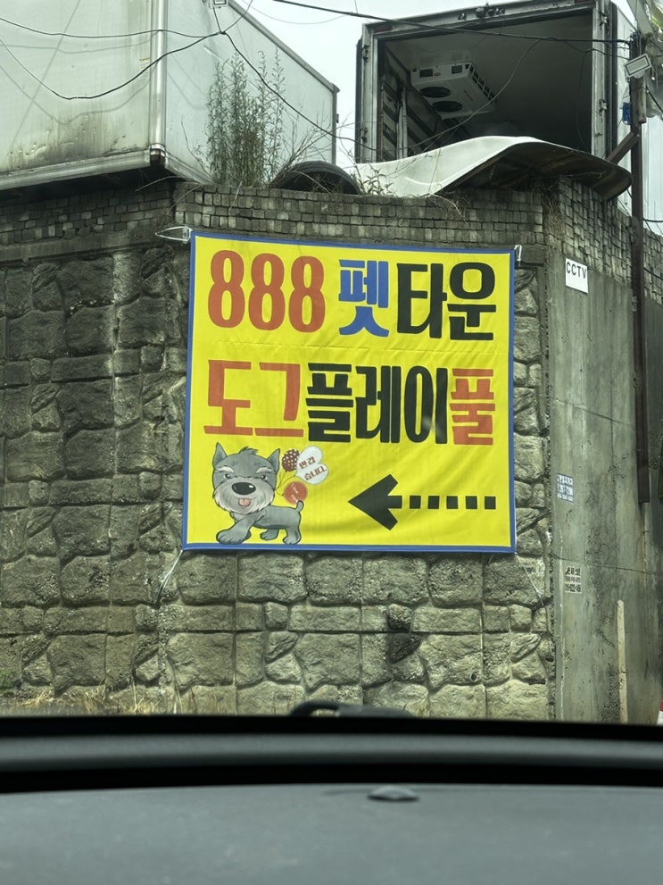  수원강아지놀이터 도그플레이풀 경기도애견수영장 여름 나들이 추천