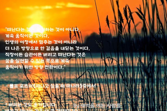 .......포기 .......포기