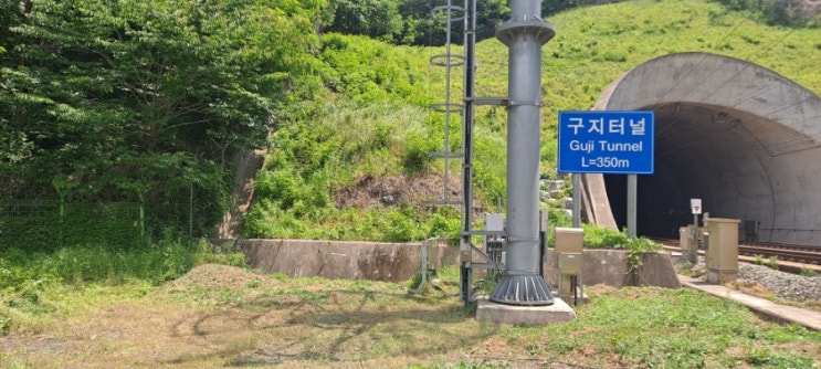  경북 영천시 대창면 공공기관 통신설비 주변 예초대행("영천예초대행")