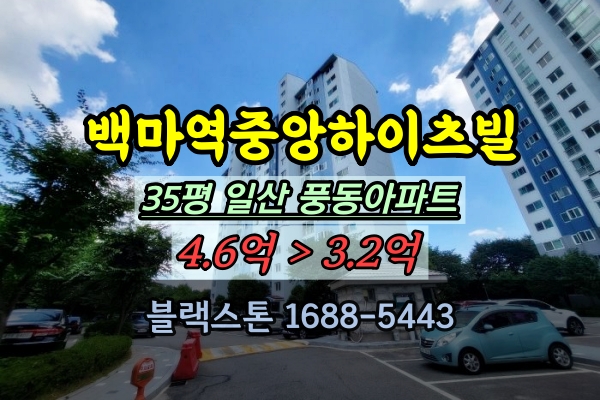  백마중앙하이츠빌 1차 경매 35평 일산 풍동아파트