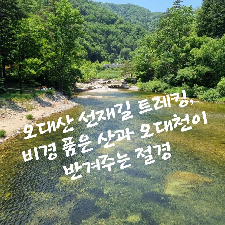  오대산 선재길 트레킹, 비경 품은 산과 오대천이 반겨주는 절경