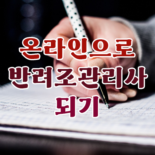  퀘이커 앵무새 가격 , 반려조관리사 자격증 온라인으로 간단히 준비한 과정 여기서 확인하세요