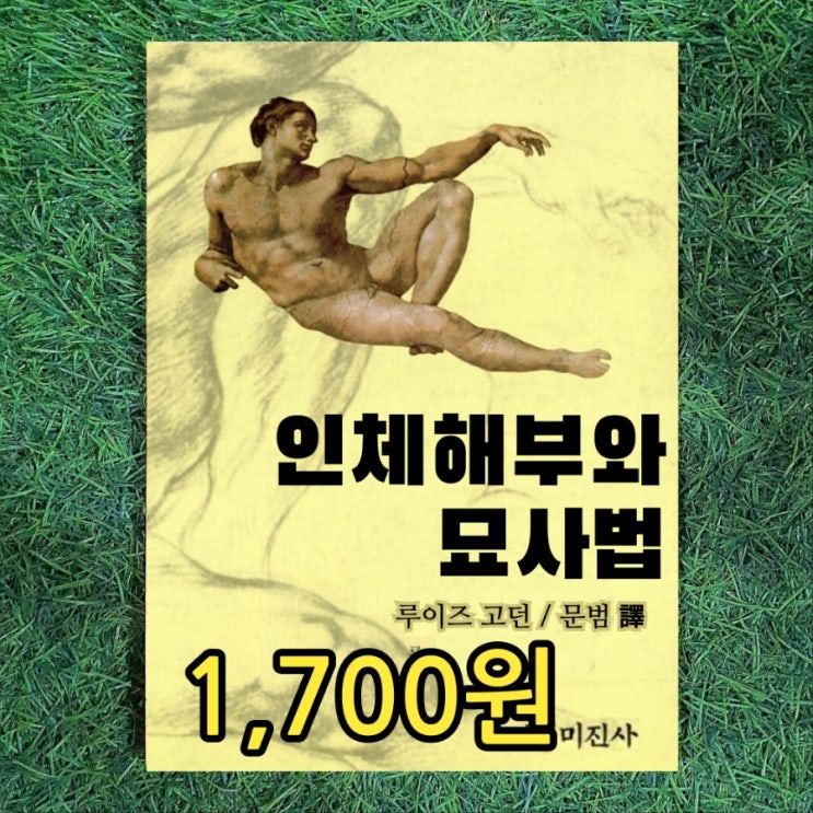  인체해부와 묘사법 미진사  1,700원 미술 그림 인체 그림책 해부도 인체 드로잉 그리기 방법 참고도서 중고책 매입 판매 좋은 가격 중고서점