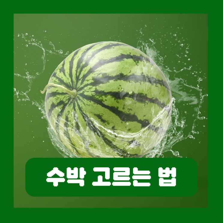  당도 높은 수박 고르는 방법 AI 기술까지 등장