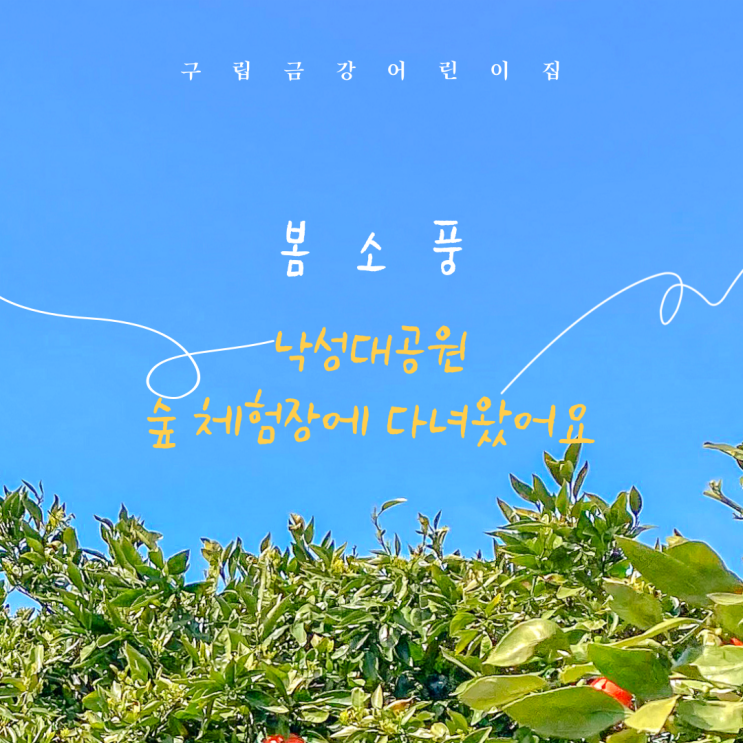  낙성대공원 숲 체험장에 다녀왔어요.