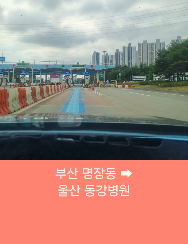  부산에서 울산까지 부산 콜택시운행