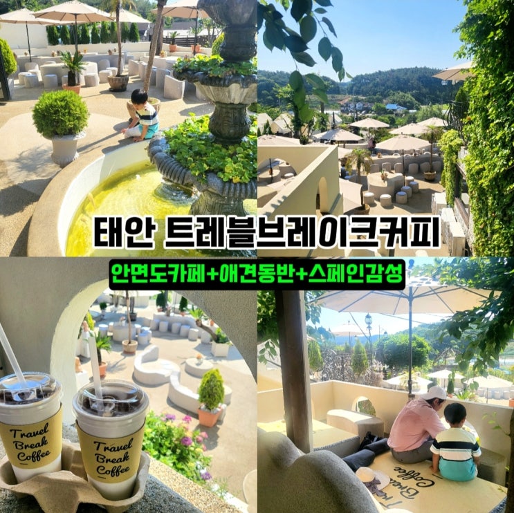  태안 카페- '트레블브레이크커피' 애견동반 카페