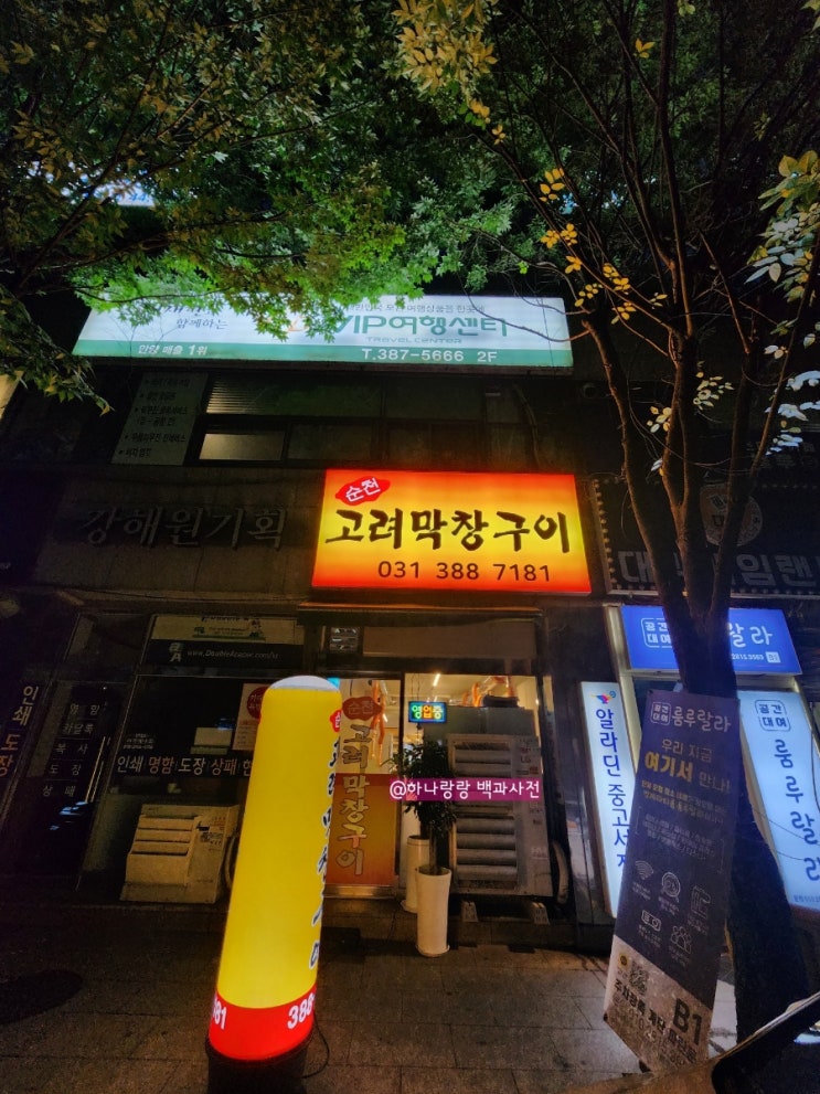  [경기 안양] 순두부짬뽕국물 서비스까지 주는 신상범계맛집 순천고려막창구이