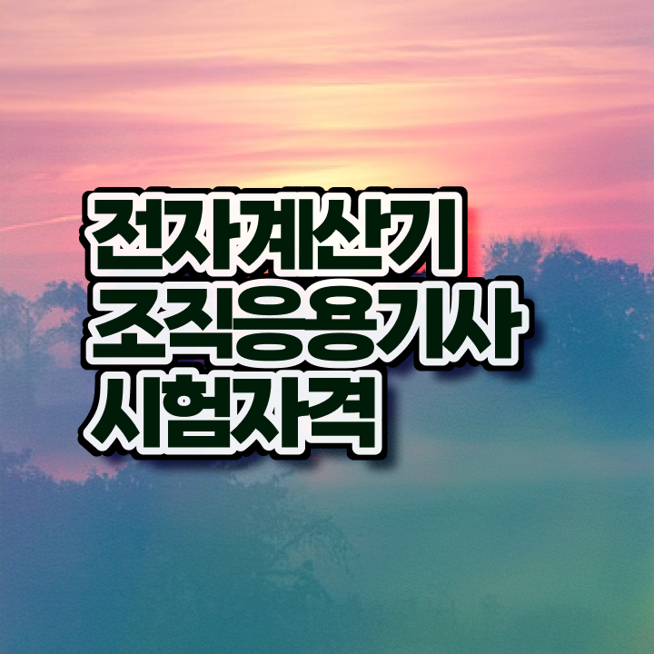  전자계산기조직응용기사 응시자격 서류 전자계산기조직응용기사 시험자격 온라인으로 15주만에 성공한 과정