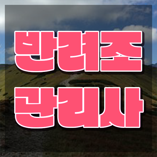  사랑앵무분양 , 반려조관리사 자격증 온라인으로 합격한 전략 핵심 정보 가득