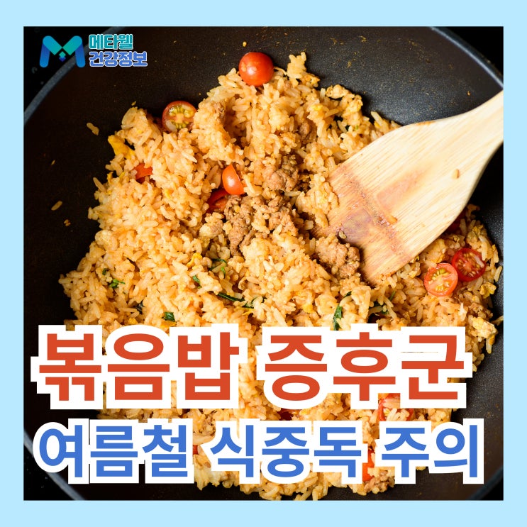  여름철 볶음밥이 위험하다? 볶음밥 증후군이란, 원인 증상, 식중독 예방법 치료법