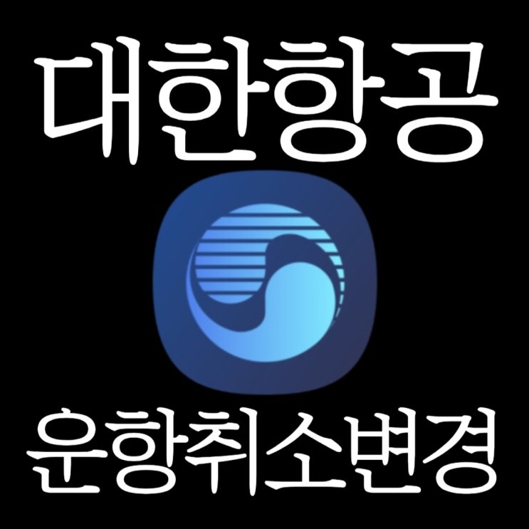  대한항공 아시아나 기업결합으로 인한 파리 항공권 운항 취소 변경후기