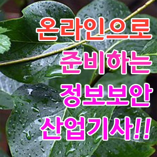 정보보안산업기사 응시자격 집에서 온라인으로 간편하게 준비한 팁 정보보안산업기사 응시자격 집에서 온라인으로 간편하게 준비한 팁