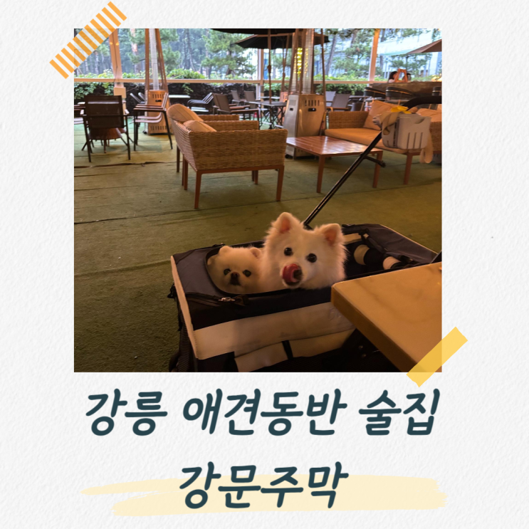  강릉 애견동반 술집, 노래 감상하기 좋은 강문주막