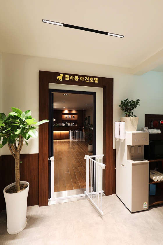 사진 4