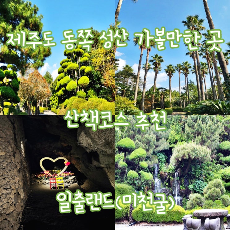  [제주도] 동쪽 성산 가볼만한 곳 일출랜드 식물원, 미천굴, 민속촌 여행, 산책 코스 추천