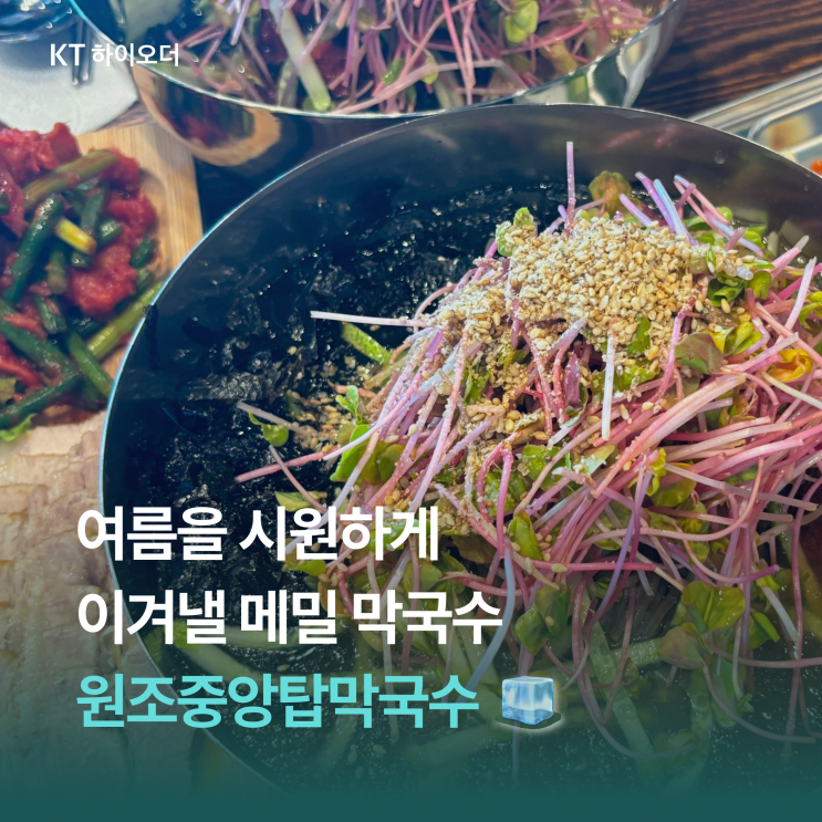   넓은 주차장이 있는 천안 성환역 메밀 막국수 맛집, 원조중앙탑막국수 천안점