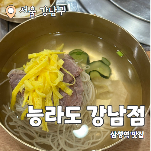  능라도 : 삼성역 육향가득 평양냉면 맛집 내돈내산 후기