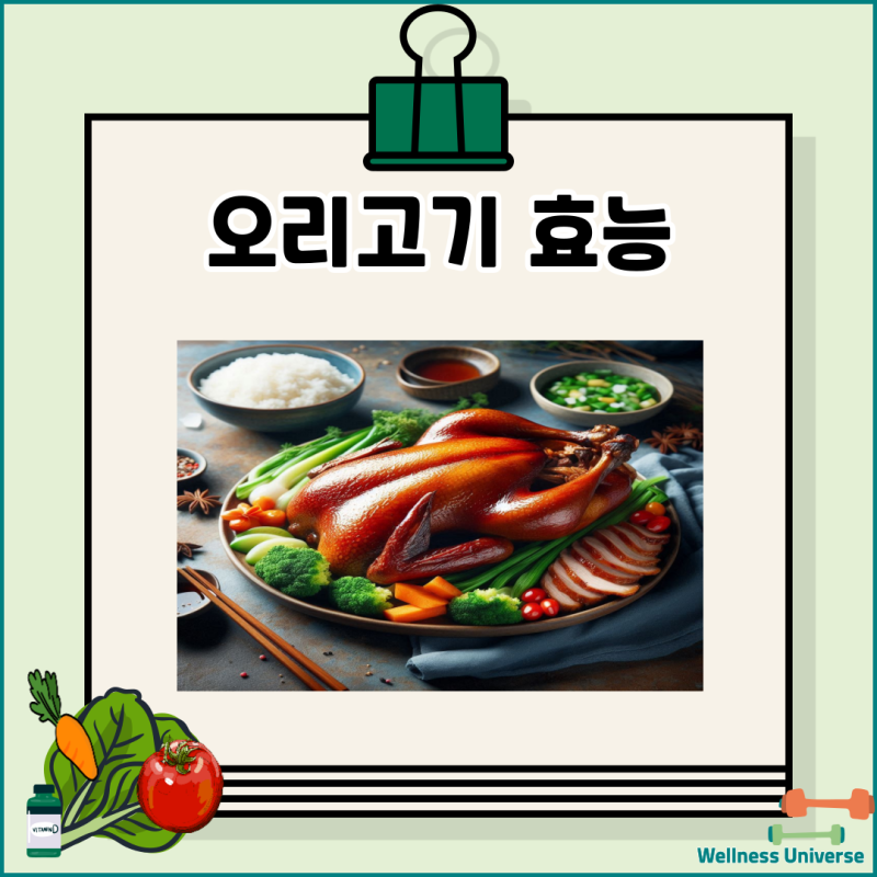 오리고기 효능 부작용 | 영양성분