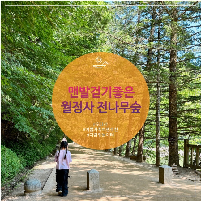  오대산국립공원 월정사 맨발걷기 좋은 전나무숲길 다람쥐만나는 방법