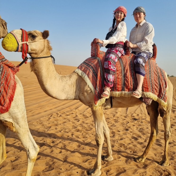  두바이 사막투어  마이리얼트립 내돈내산 후기