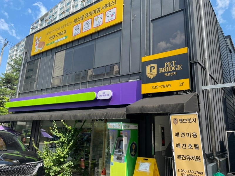 펫브릿지호텔 미용 유치원 놀이방