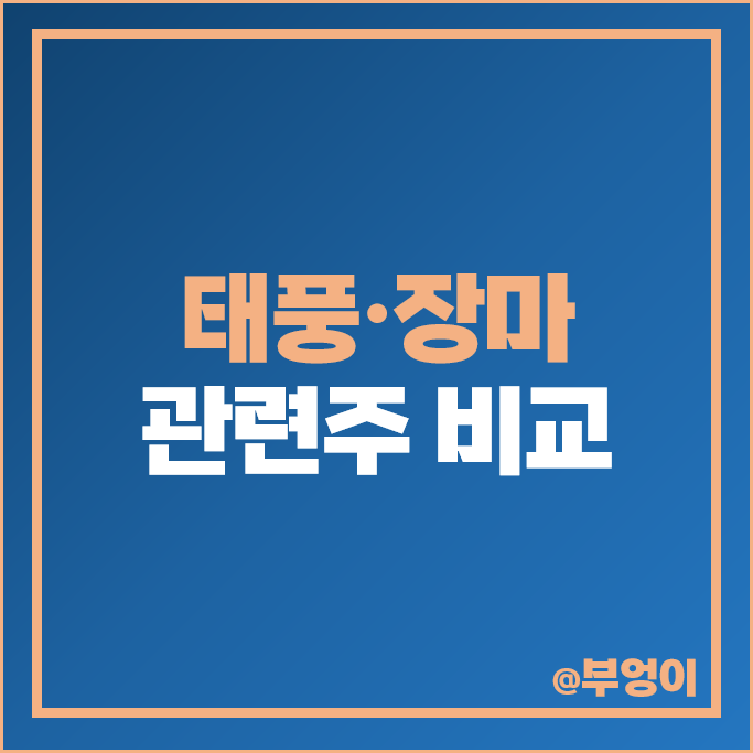 태풍 장마 관련주 인선이엔티 주가 동방아그로 하이드로리튬 주가 태풍 장마 관련주 인선이엔티 주가 동방아그로 하이드로리튬 주가