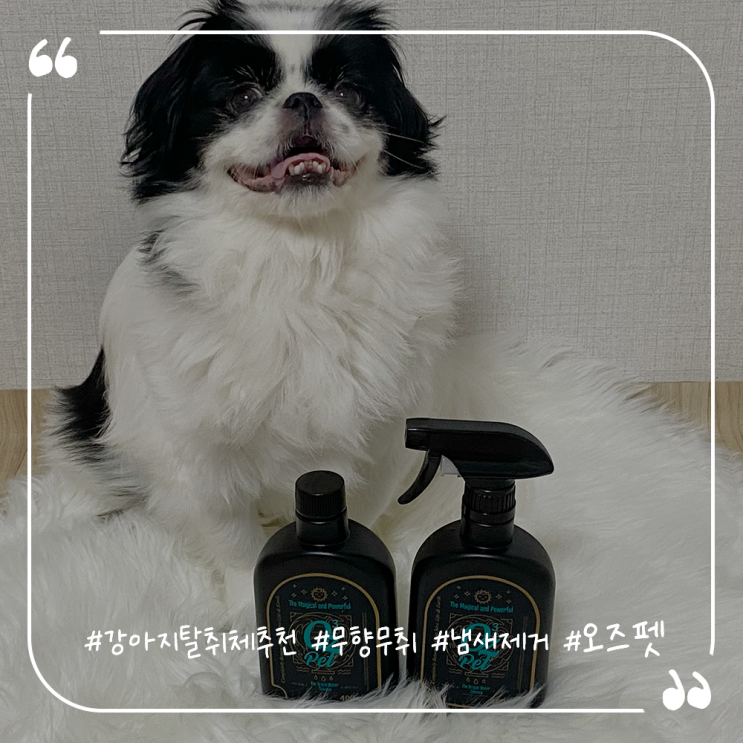 강아지탈취체추천 강아지오줌냄새제거 오즈펫탈취제
