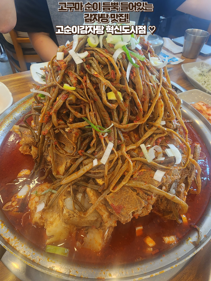  전주 혁신도시 맛집 : [고순이감자탕] 내돈내산 고구마순 듬뿍 들어간 해장에 딱 좋은 감자탕 맛집!