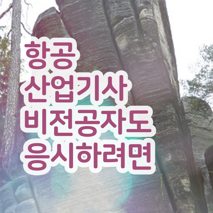  항공산업기사 필기 난이도 항공산업기사 응시자격 인강만 듣고 반 년만에 끝낸 비법