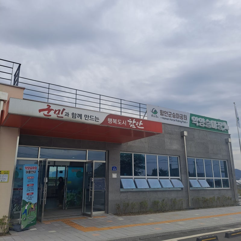 사진 2