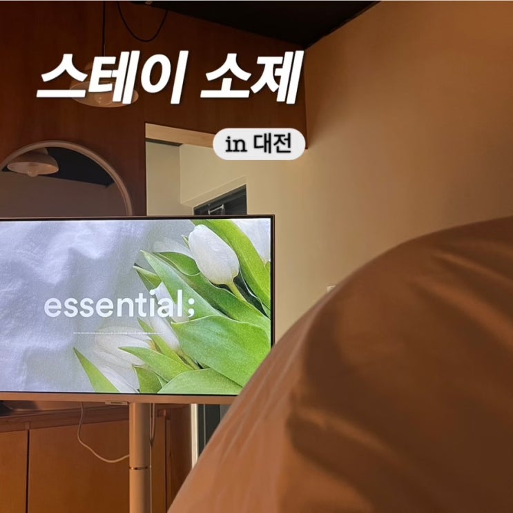 대전역 근처 감성 숙소 추천 스테이 소제 만족 후기