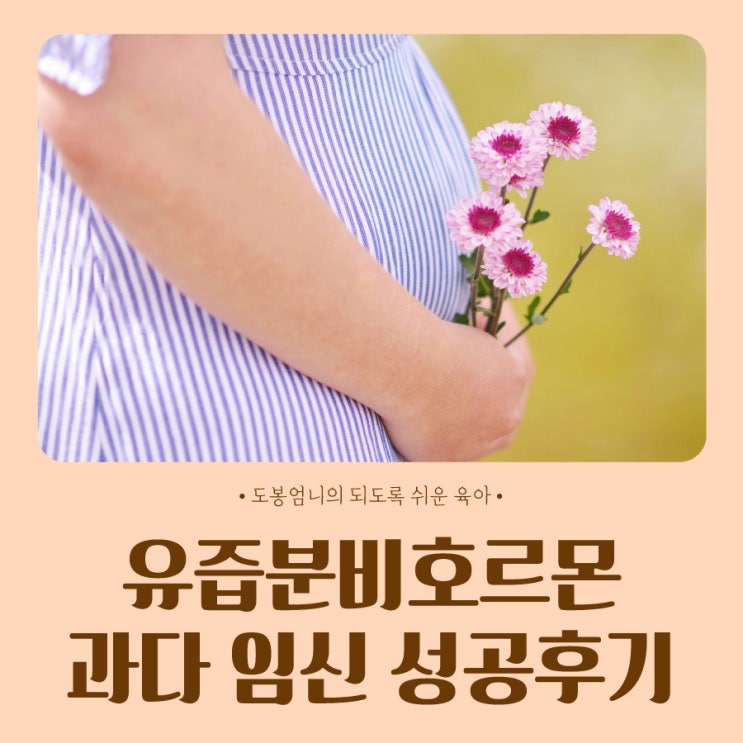  유즙분비호르몬 프로락틴 수치 과다 난임 원인 피검사 임신 성공후기