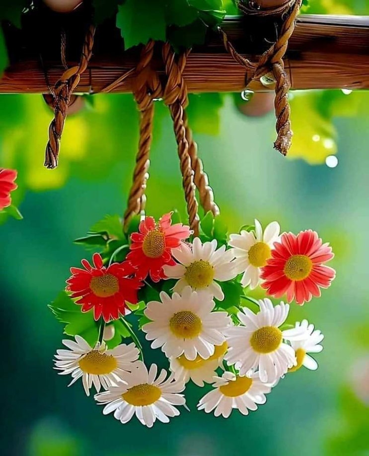   오늘의 생활정보 (2024-06-21, 금)