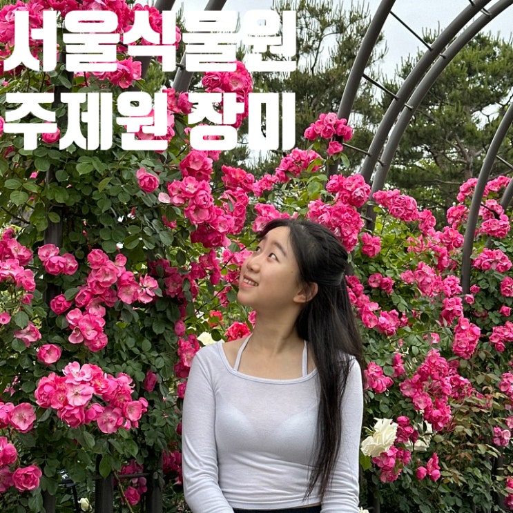  마곡 서울식물원 주제원 후기 | 위치 입장료 장미 수국 온실