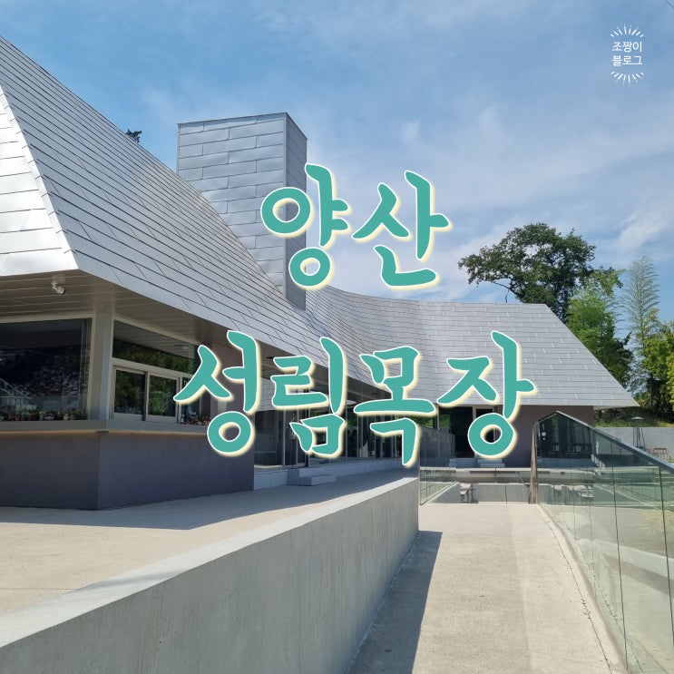  양산 사송 성림목장 신상 대형 카페